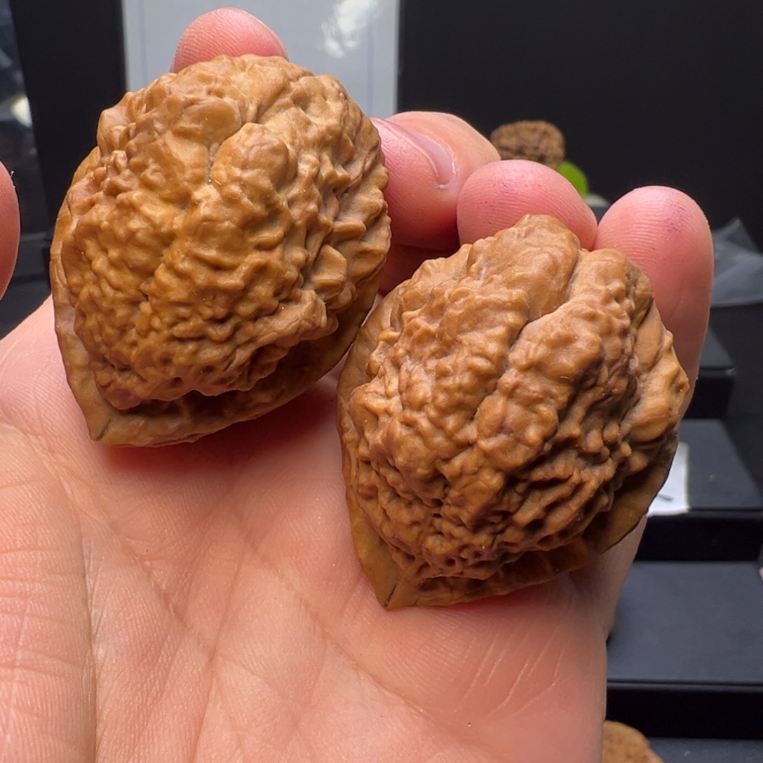 文玩核桃吊坠鳄鱼头41mm