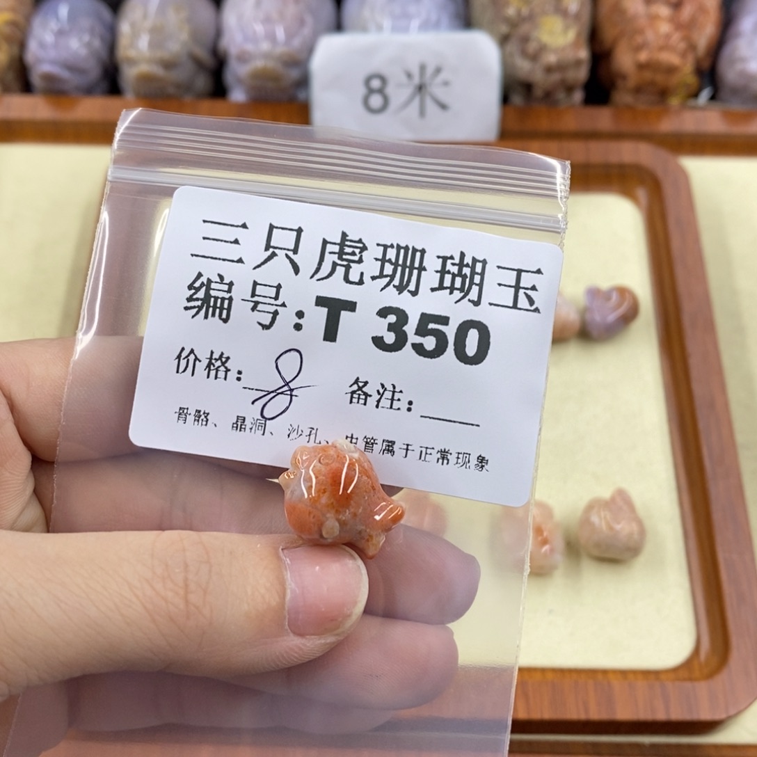 硅化珊瑚（珊瑚玉）1未镶嵌W**W