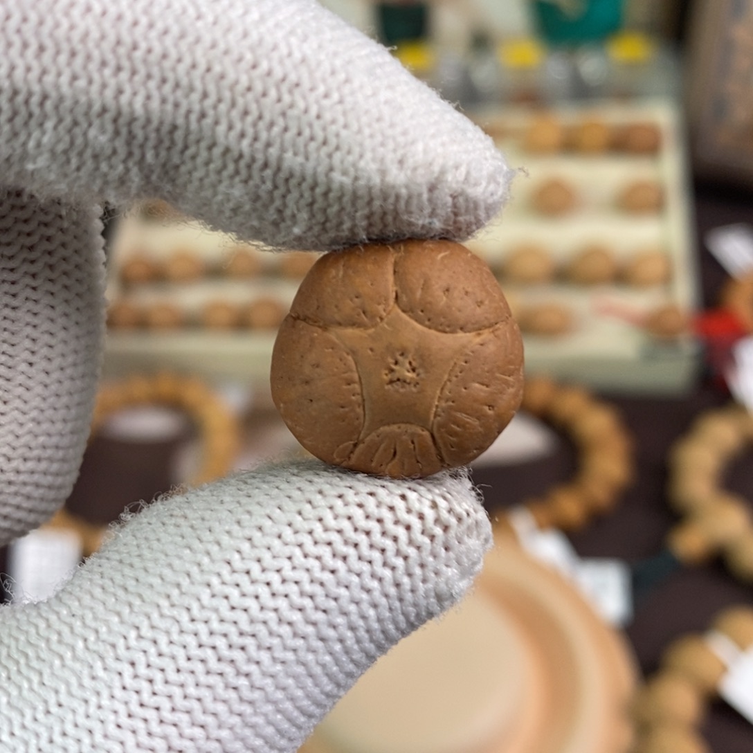 吊坠凤眼菩提18.3五星单颗