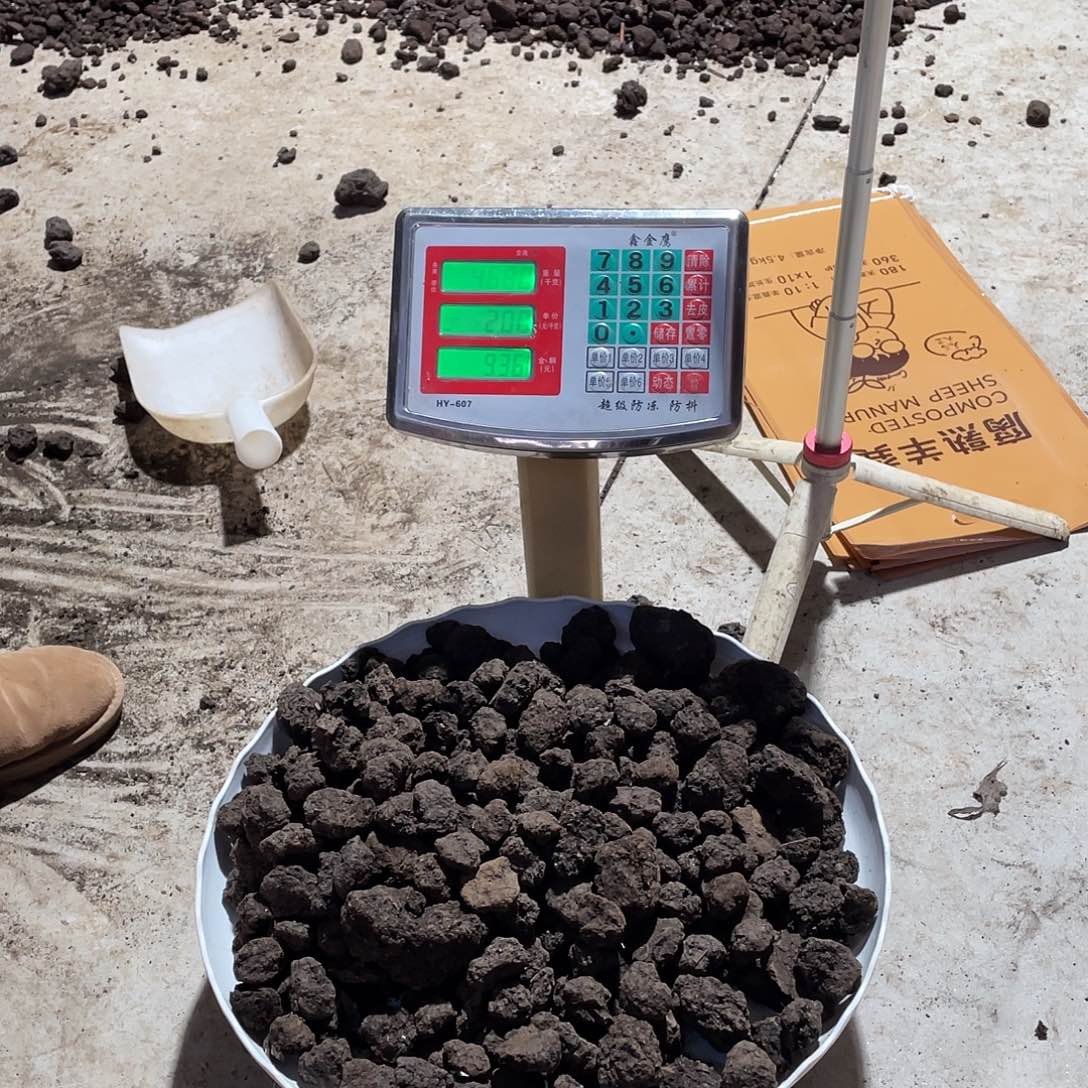 s***39斤腐熟牛粪超大块5