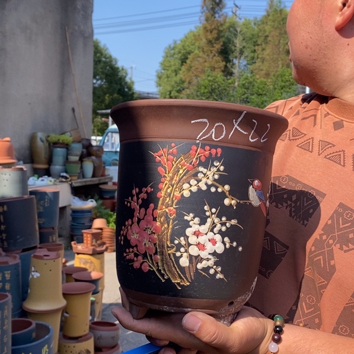 紫砂花盆盆栽花卉苗木种植