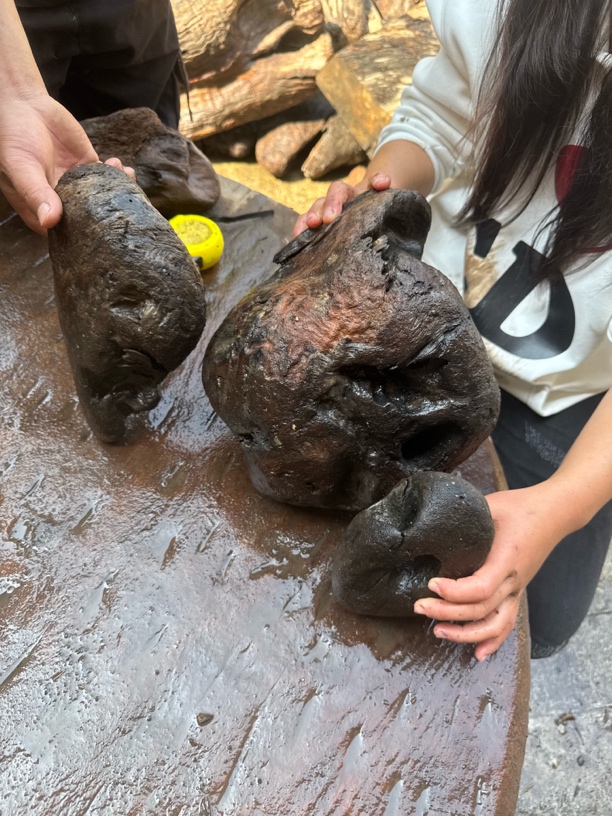 民间使用风化木阴沉木不含运