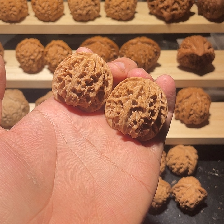 38尺寸苹果园狮子头