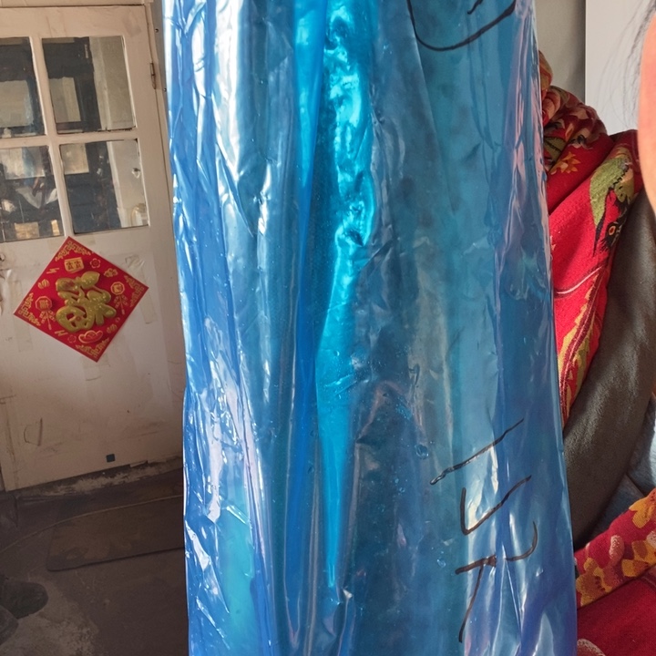 老***姜中国大陆渤海湾野生燕鲅鱼4号