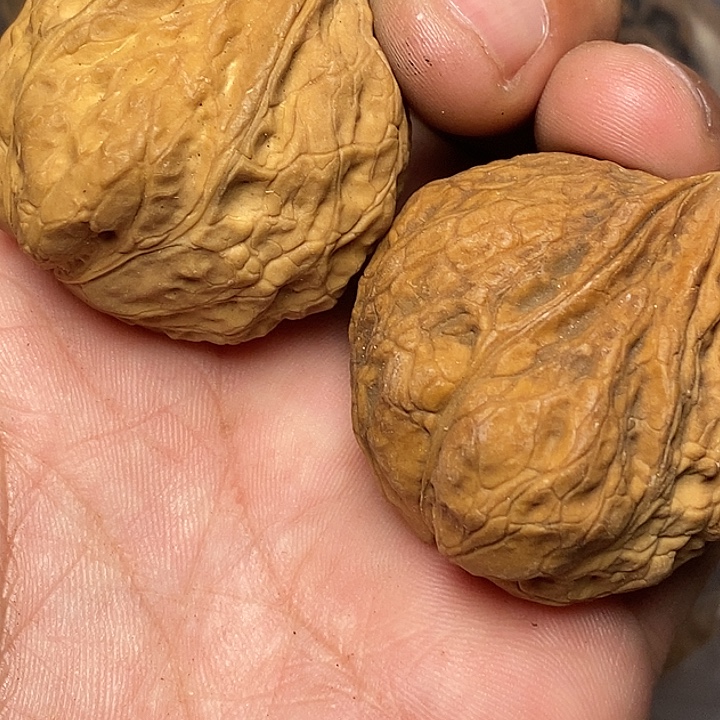 文玩核桃把件志成云铁文玩79