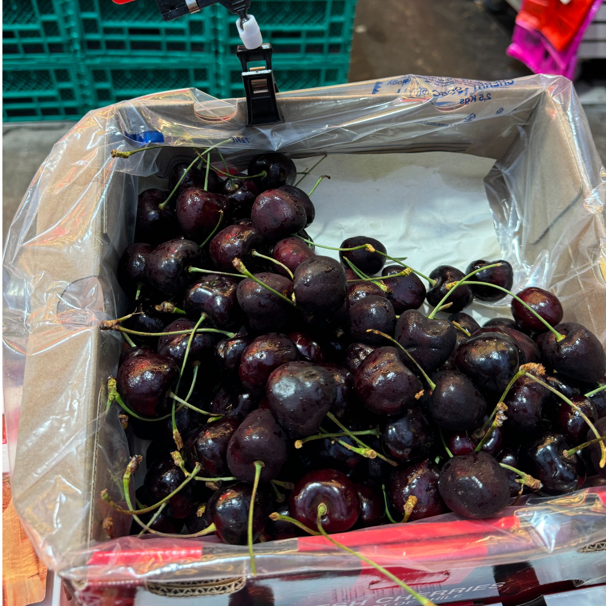 智利3J大血车厘子5斤320元/盒(净重2500g)