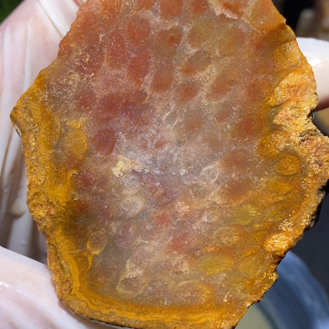 【闪购商品】硅化玉颈饰未镶嵌