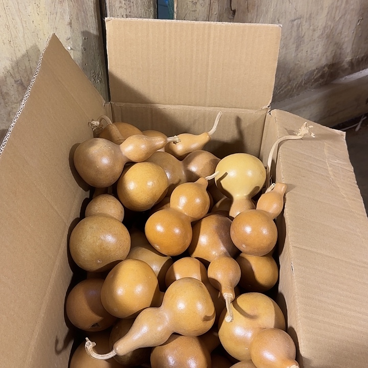 我***个葫芦处理葫芦葫芦葫芦葫芦