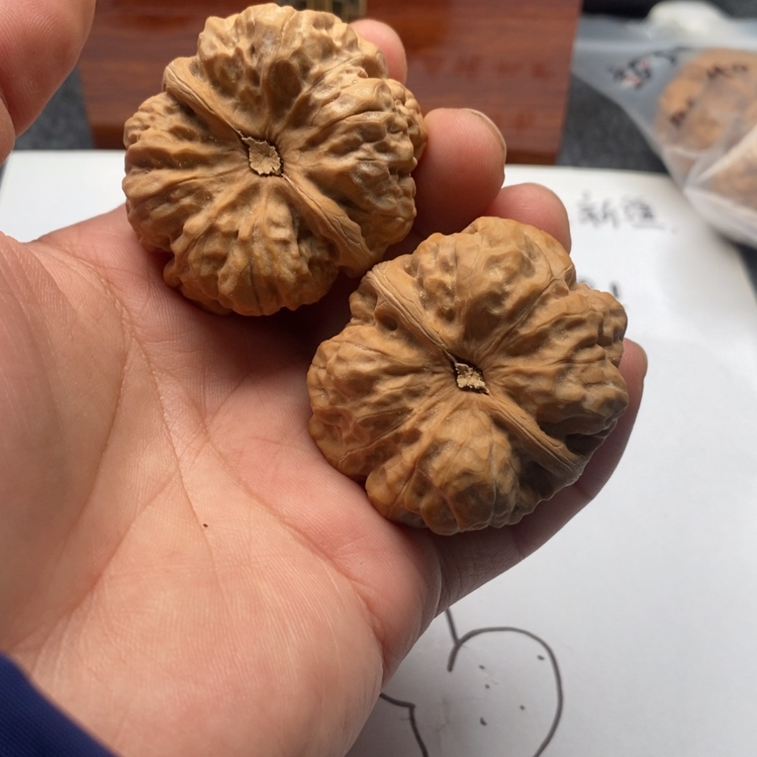 中***蟹好的我真的是太喜欢了