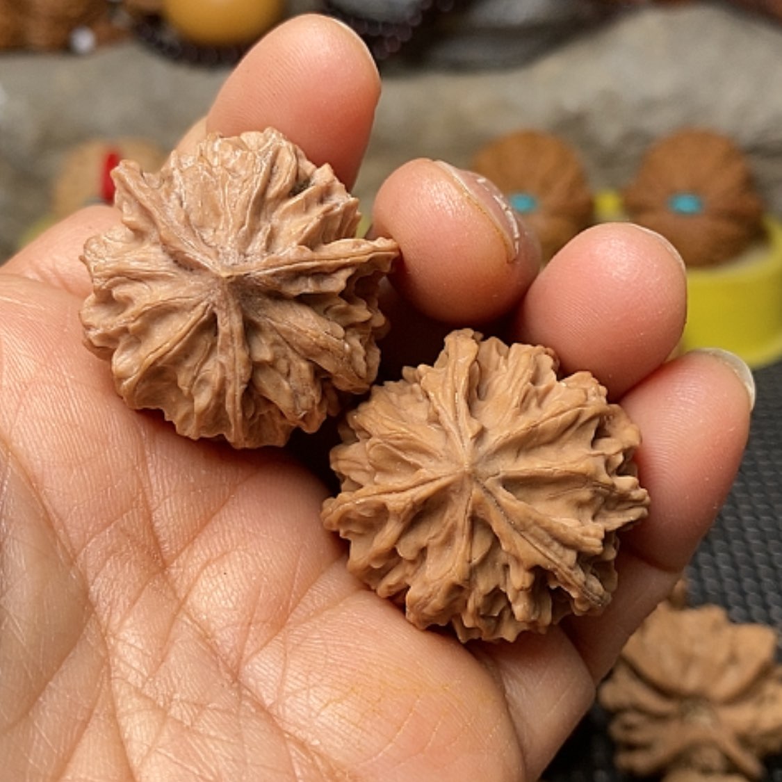 【闪购商品】把件文玩核桃饕三棱31色差打底