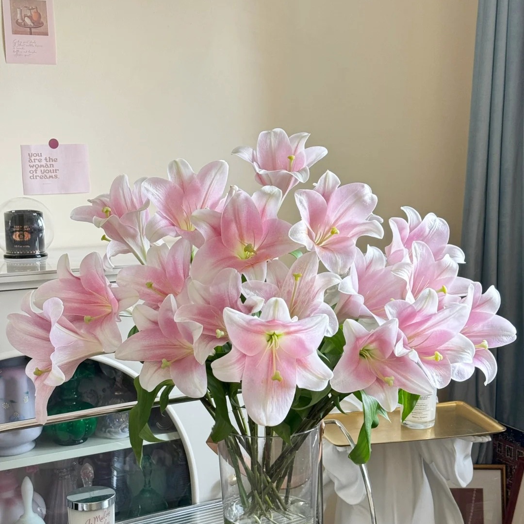 【花之物语】粉铁炮百合 包邮