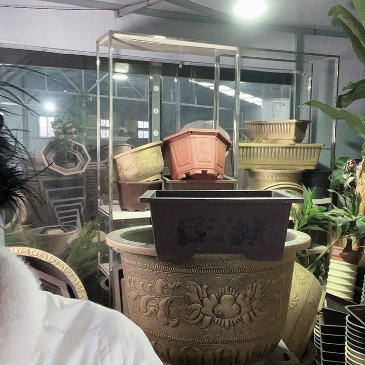 50盆景盆3个90元包邮