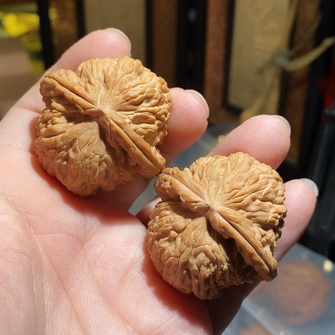 文玩核桃把件糖**脊43白狮子全品