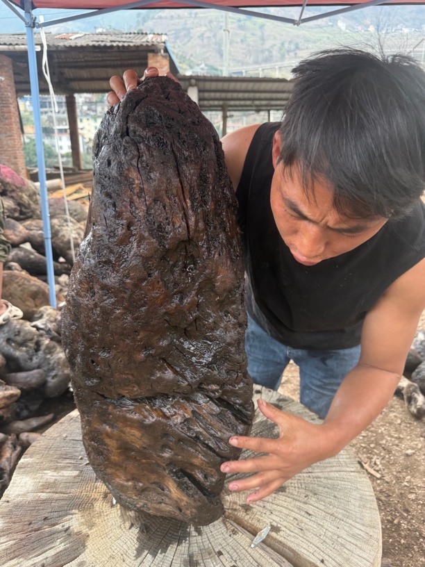 民间使用风化木阴沉木