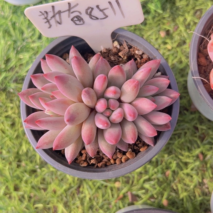 健健康康平平安安