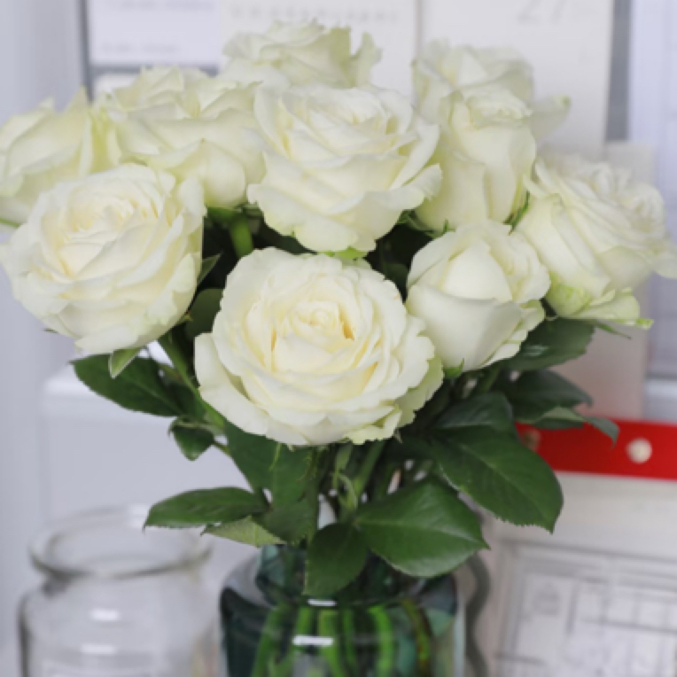 10枝白玫瑰真花鲜花店同城配送上门小时达横店南马花园防军