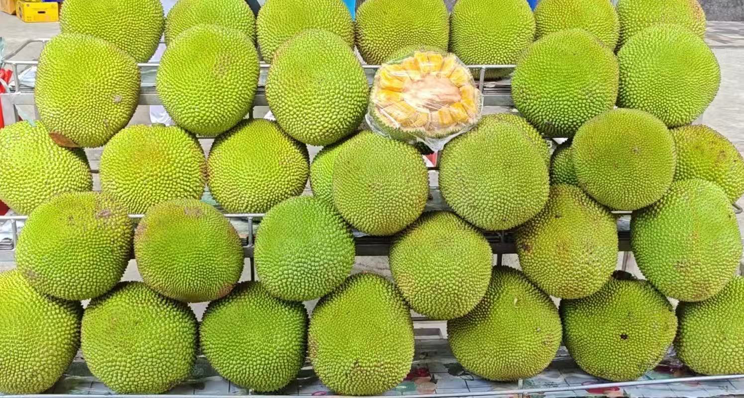 新鲜软糯香甜榴莲菠萝蜜