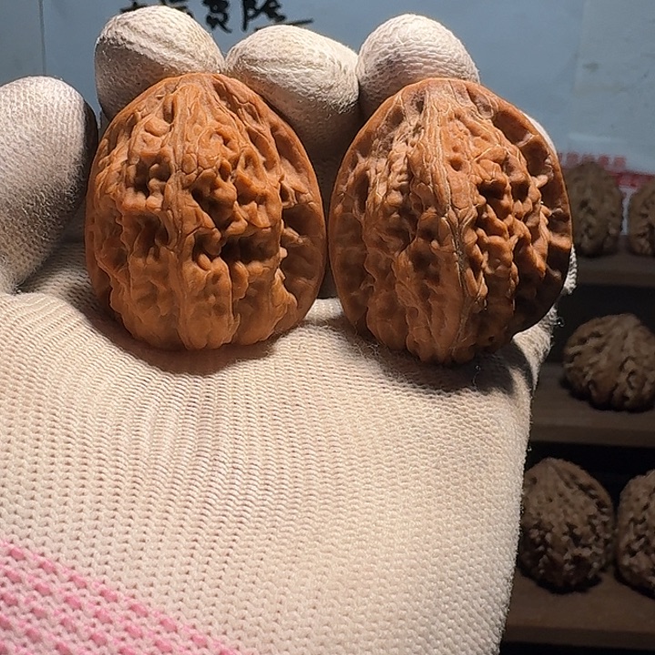 秦岭野生无名核桃