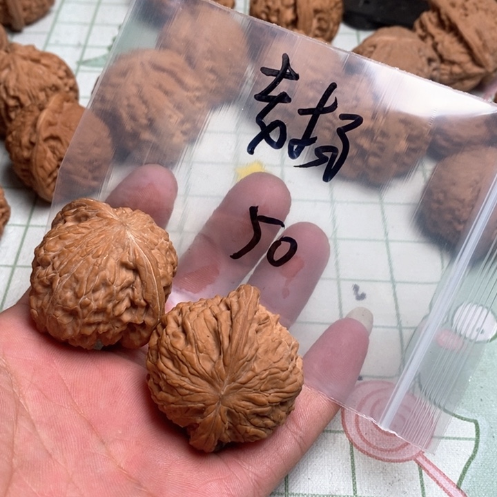 文玩核桃把件T**杨核桃