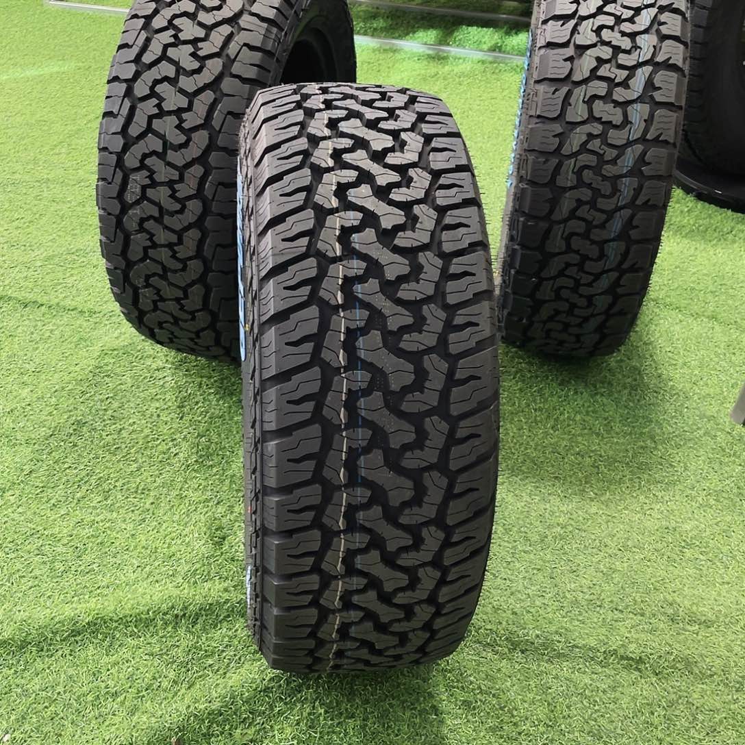 *****歌谱245-55-19主播推荐