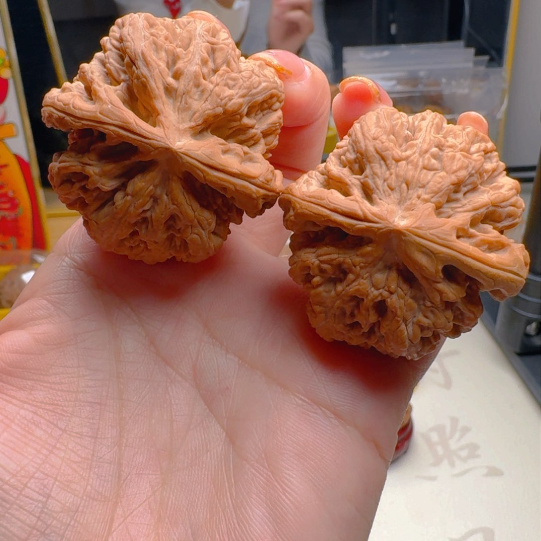 核桃把件43.5尺寸大粗筋