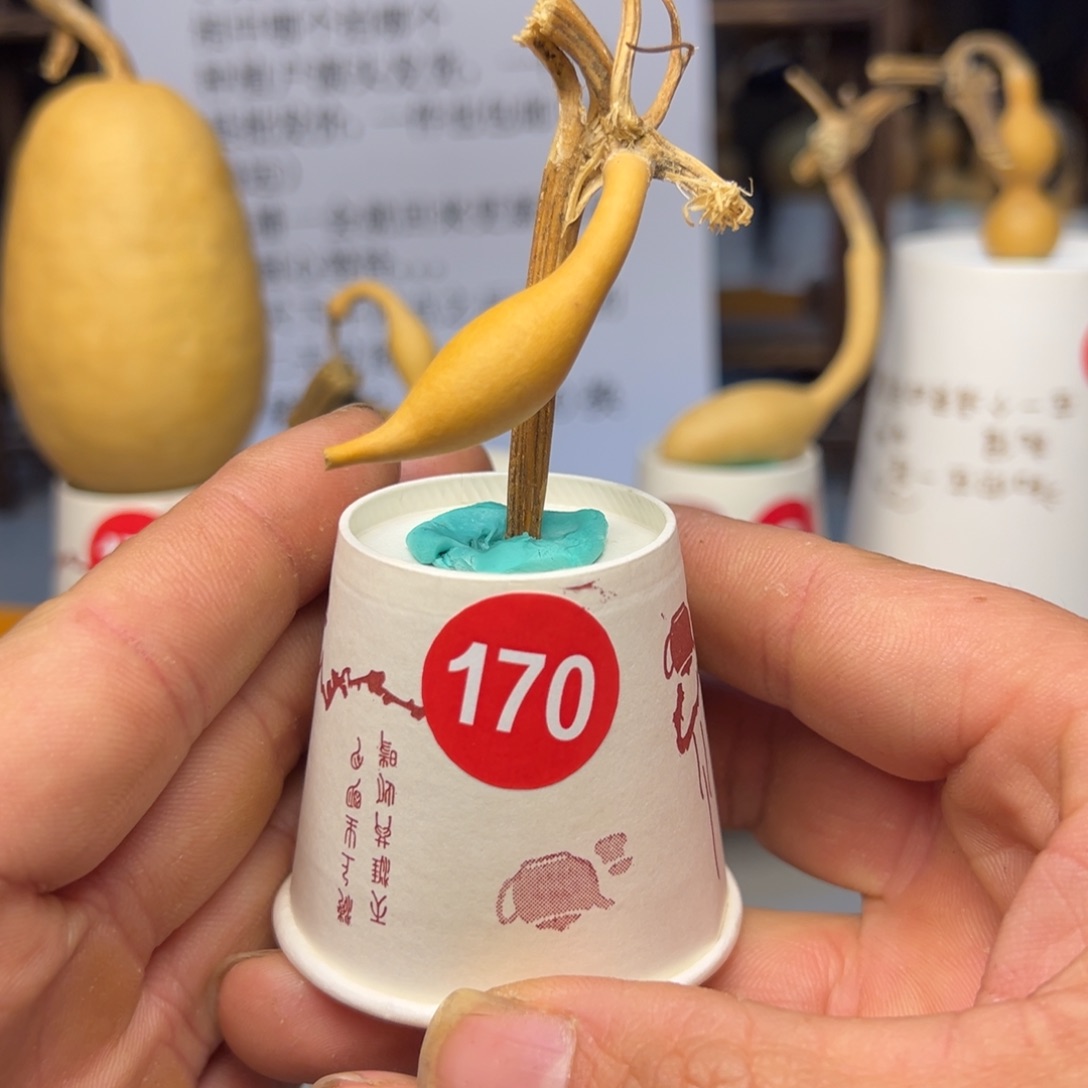 闪电购自助下单编号170