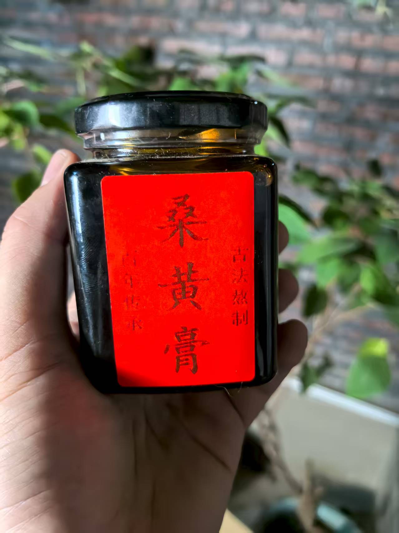 【现收好物】桑✘皇✘膏   藕300-1500g