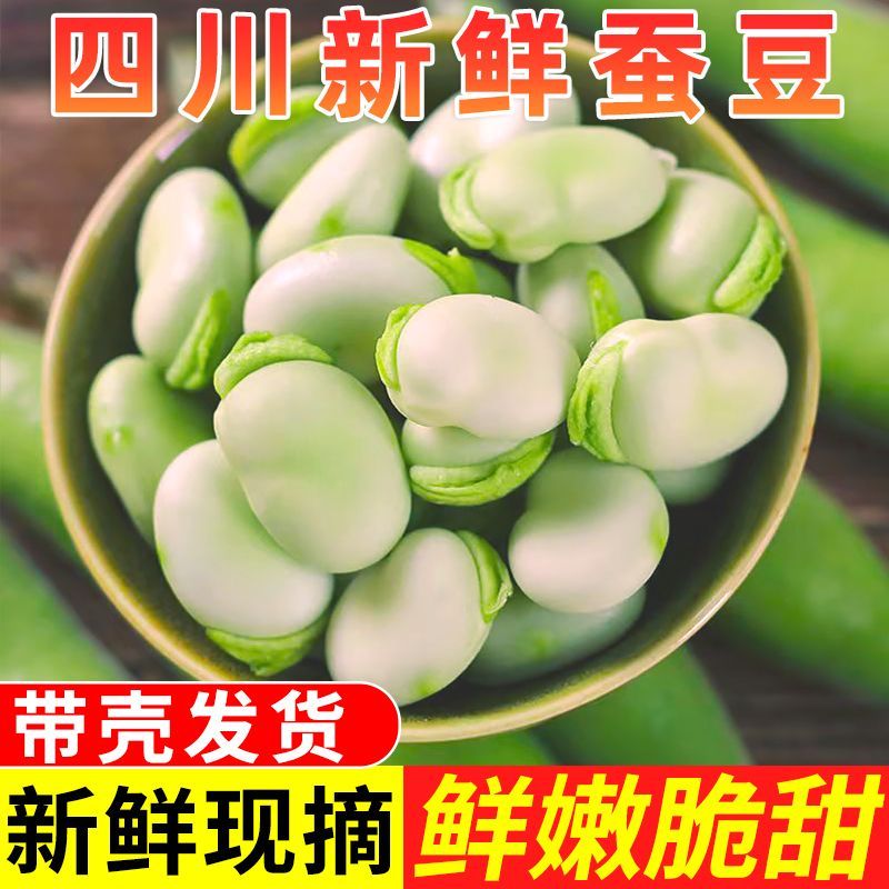 四川现摘新鲜蚕豆带壳农家自种生蚕豆罗汉豆兰花胡豆佛青豆荚蔬菜