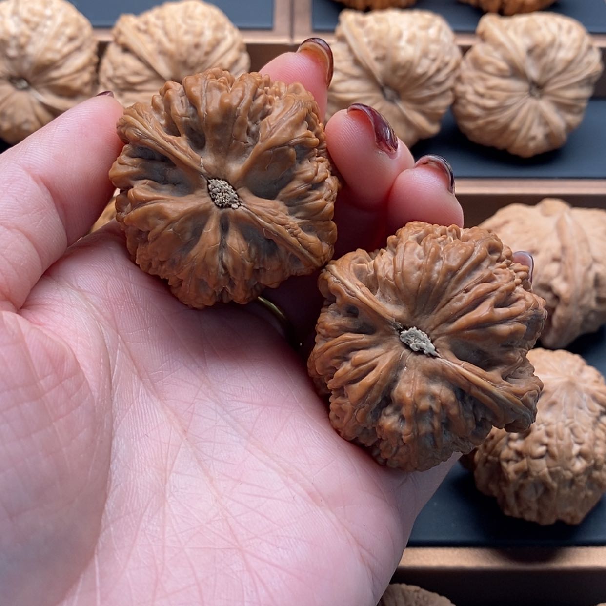 【闪购商品】文玩核桃把件?****忌粗筋42