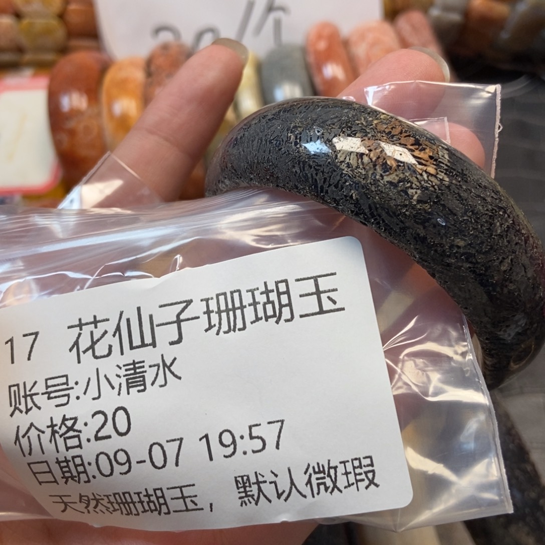 小***水未镶嵌硅化珊瑚（珊瑚玉）珠宝半成品17