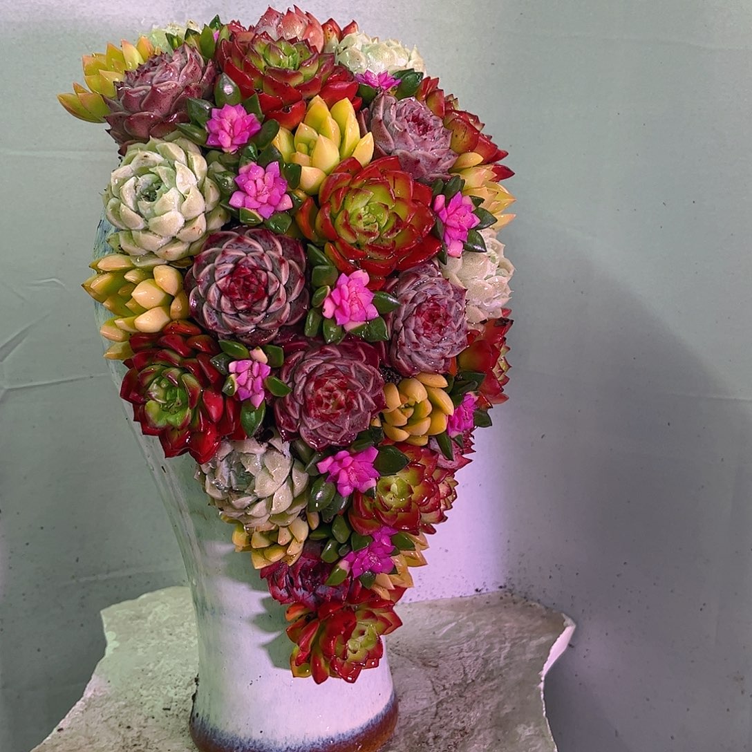 这个是真的很好看水彩画