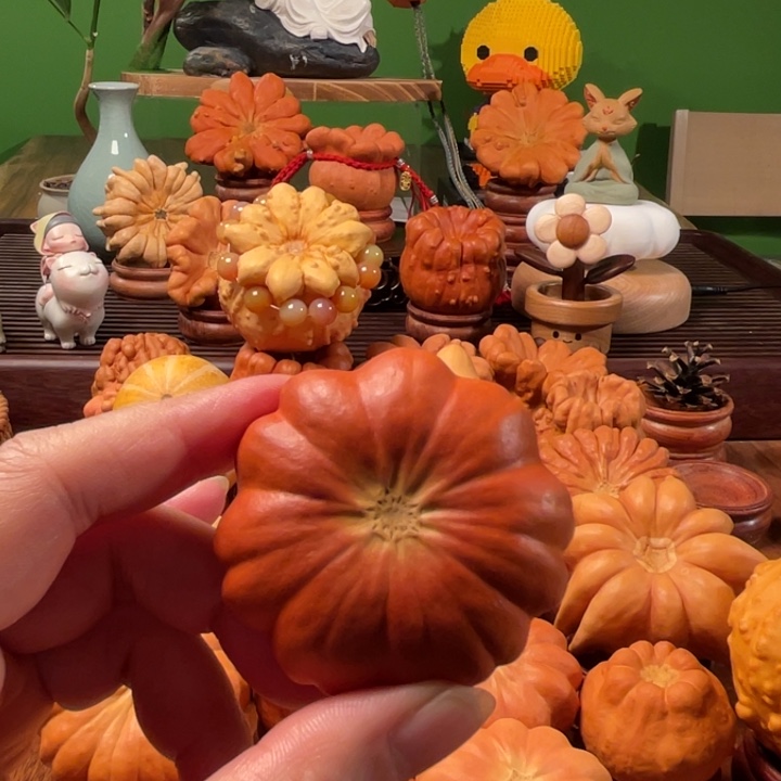 墨西哥葫芦手把小梅花