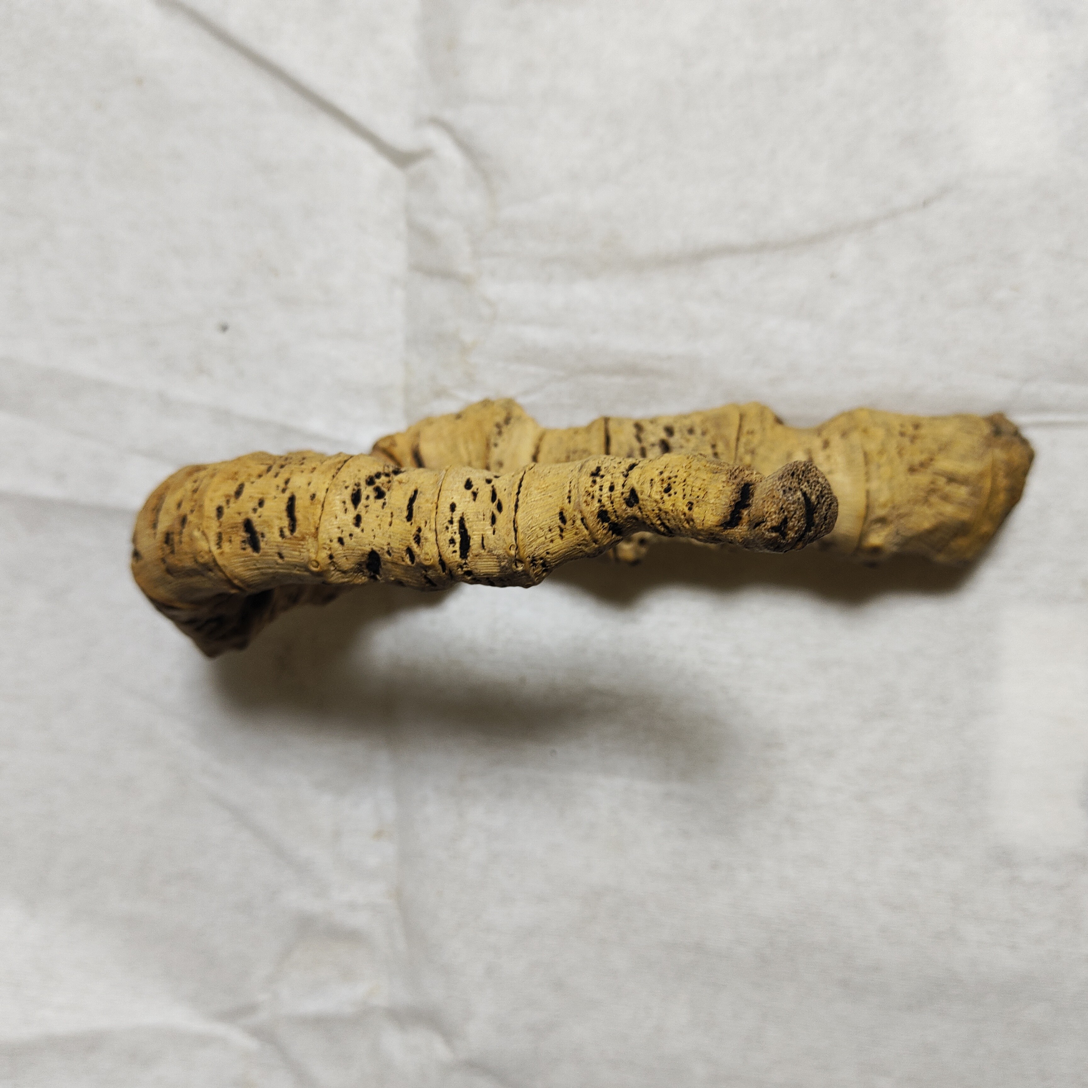 干年老竹鞭老竹筒老竹片烟杆料手把件茶侧料竹根