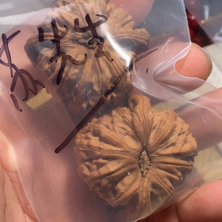 文玩核桃把件苏*生核桃