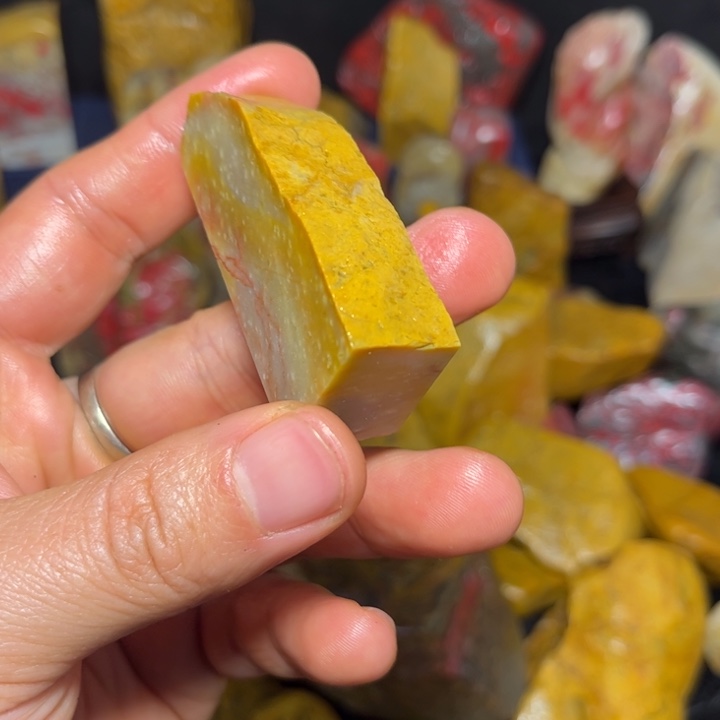 读***芾昌化石国石昌化石