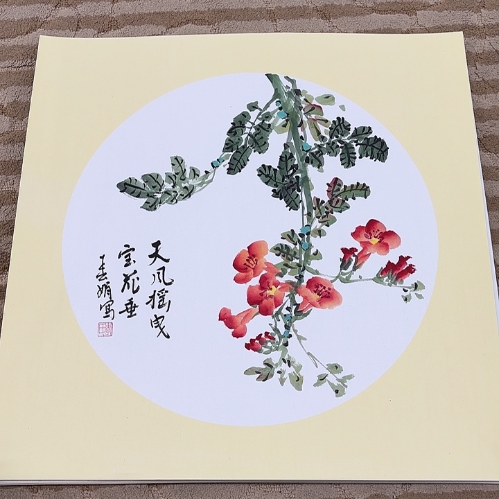 国画花鸟的翅膀和翅膀都是白色的