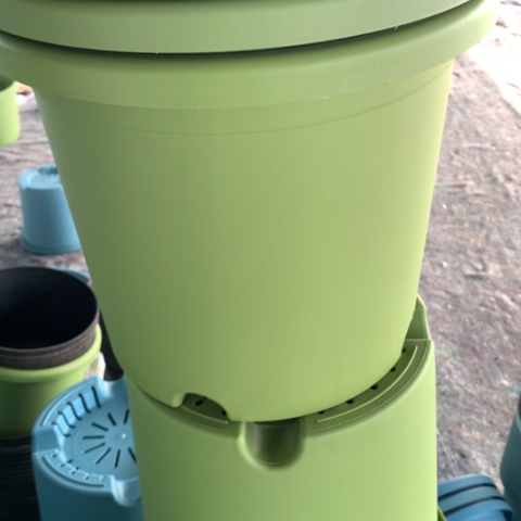 树脂5加果绿无托3个