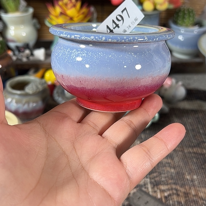 口6 ……手工花盆满30元包邮