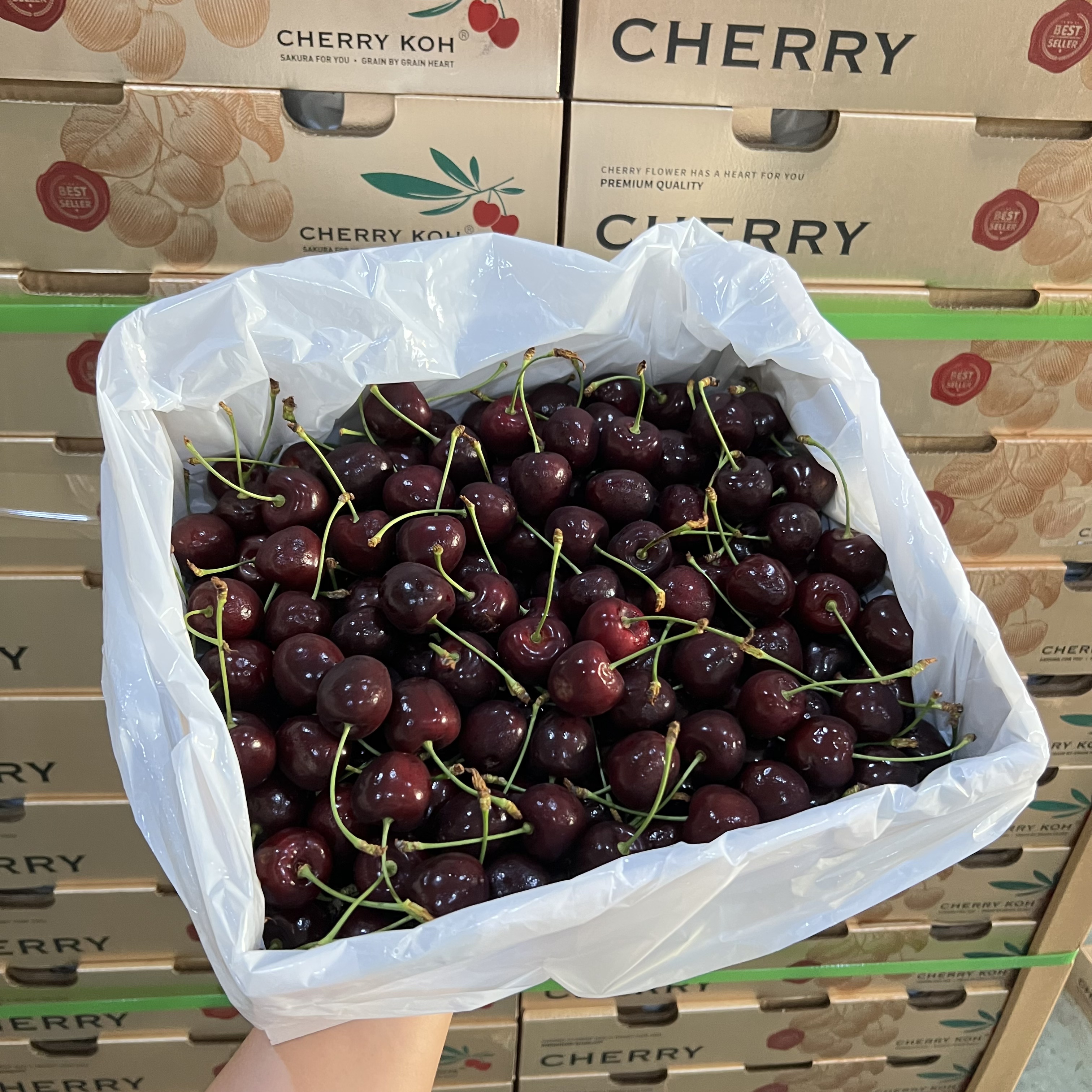 【车厘子福利】新鲜采摘 应季水果 酸甜可口 原箱2J级礼盒发货5斤黑珍珠樱桃