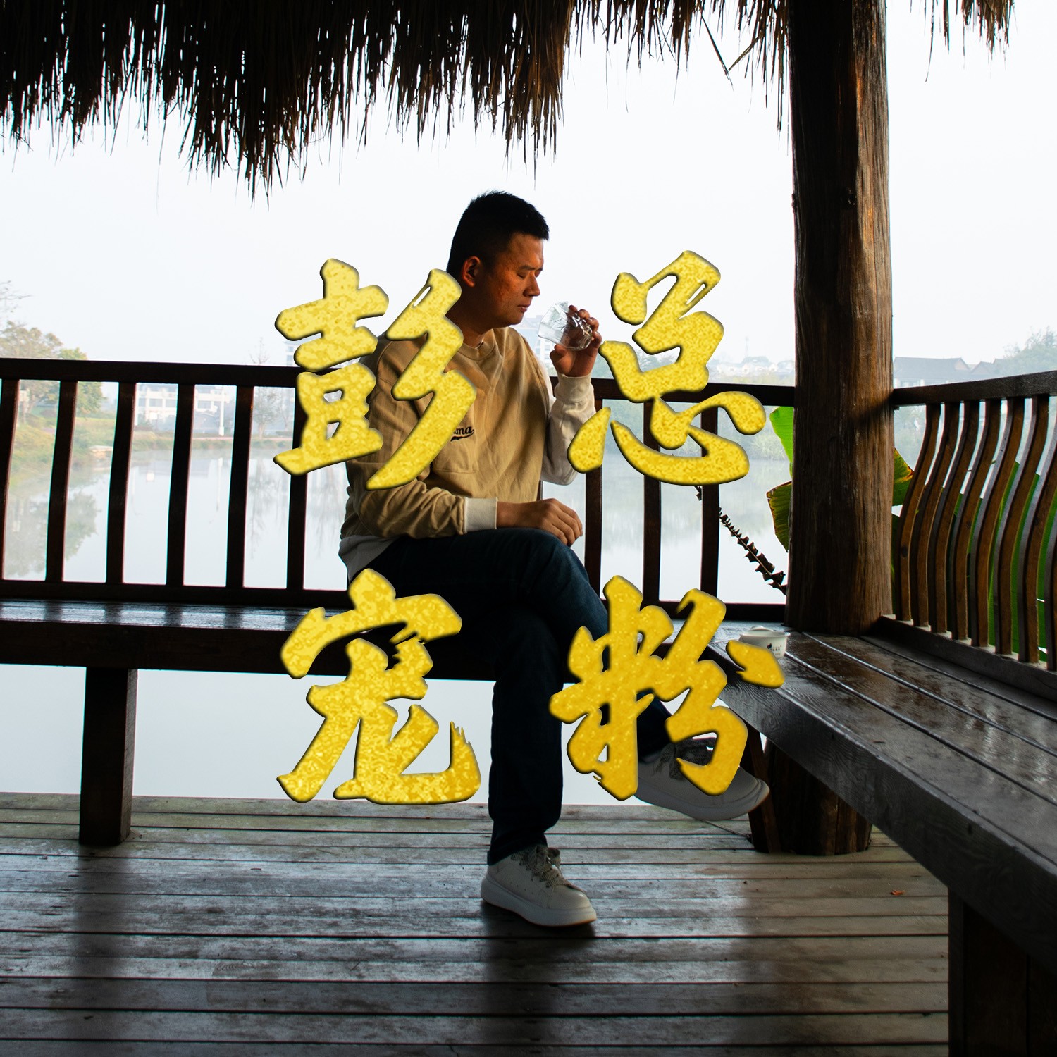 云南高山古树普洱茶生茶散茶