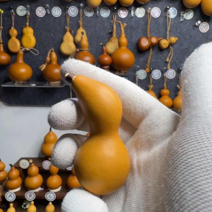 小***慧哈哈哈哈哈哈哈哈哈哈哈