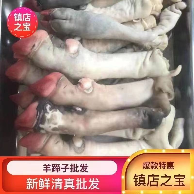 5斤装 新鲜现宰羊蹄子 羊脚 冰鲜发货 黑花羊蹄 火锅食材京东