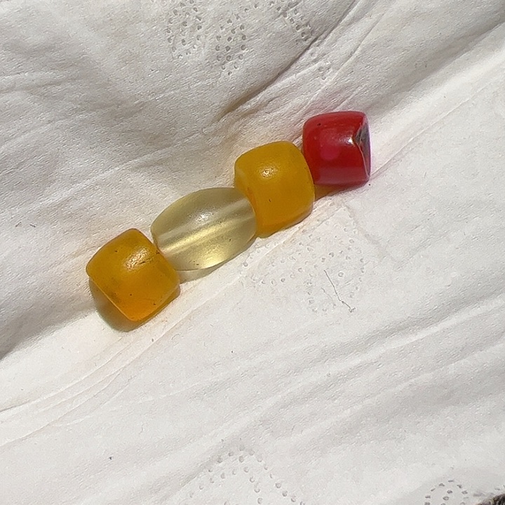 香榧木在家了一个小时