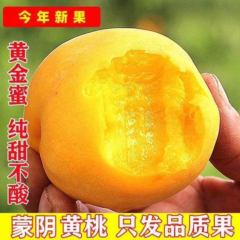 顺丰正宗山东黄桃蒙阴锦绣大黄蜜桃水果新鲜纯甜桃子黄金毛桃当季桃子同城送山东省山东省