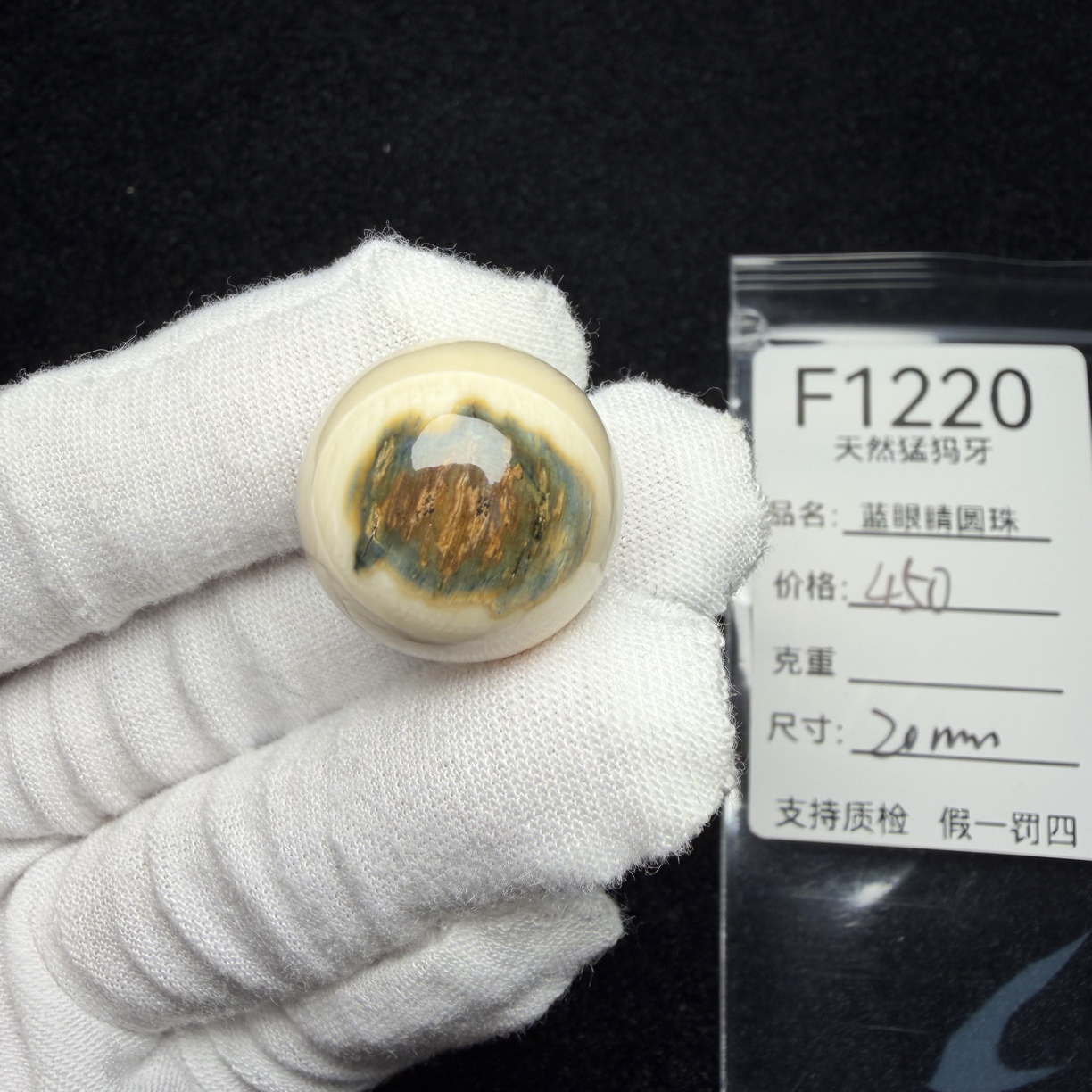 F1220天然猛犸象牙蓝皮蓝眼睛圆珠单珠配珠配饰顶20mm冰料满纹