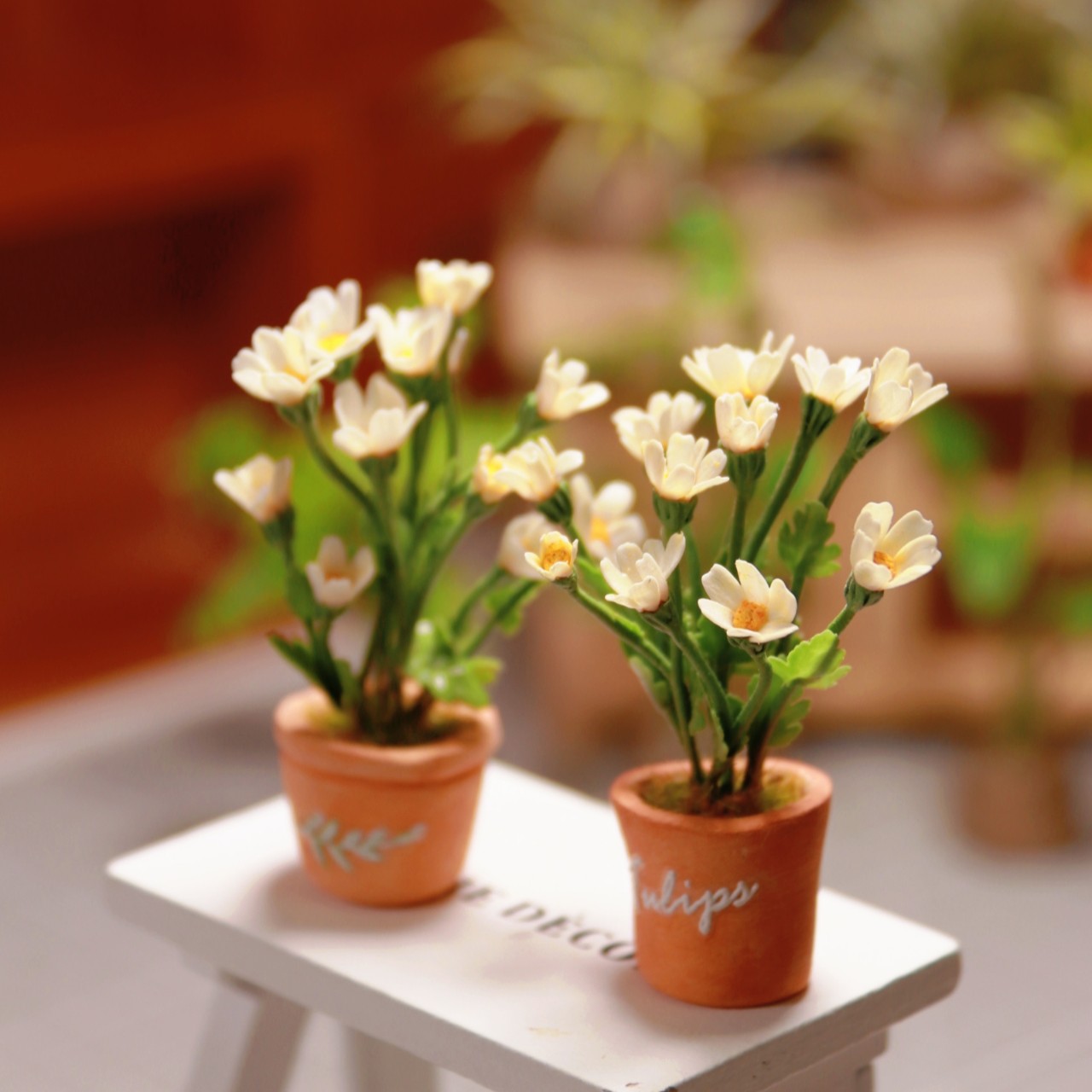 各种微缩绿植解压治愈摆件48小时发(无+某鱼周佳燕88）