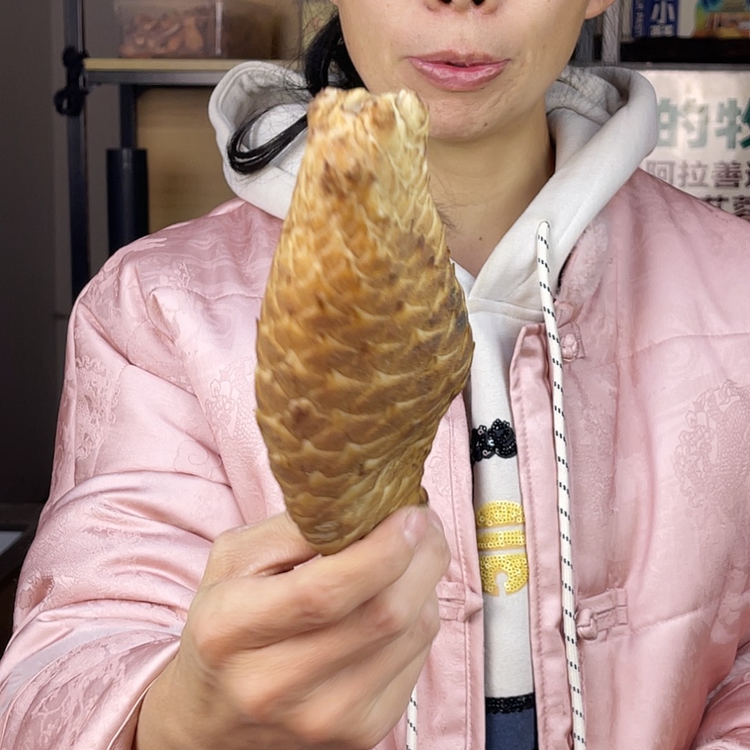 中国大陆335克老根