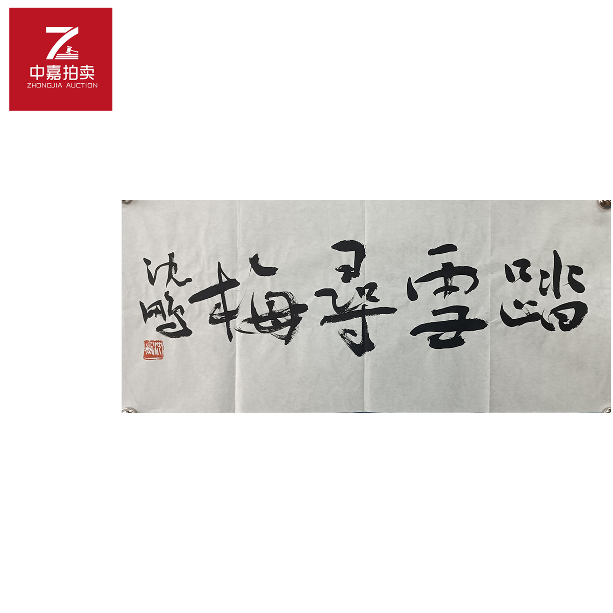 沈鹏书法软片踏雪69x30