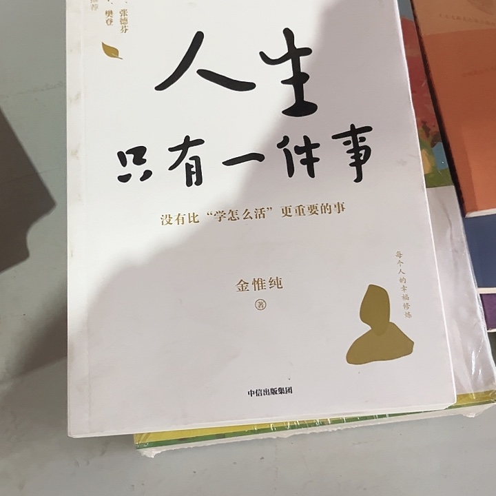 人生只有一件事全新