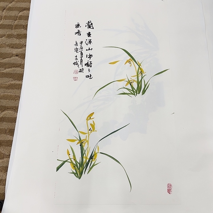 国画花鸟的翅膀和翅膀都